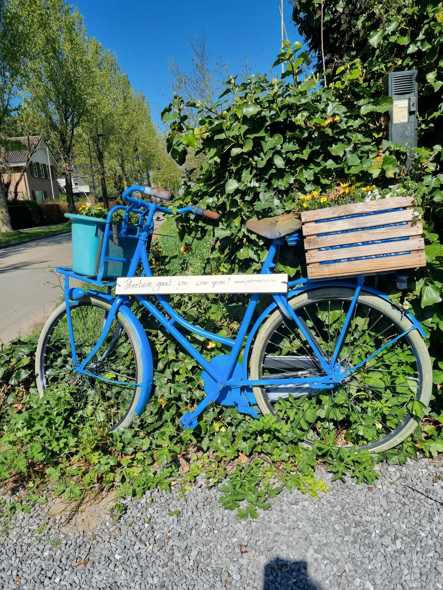 Culemborg 1